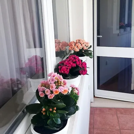 Apartamento Downtown - Centre *