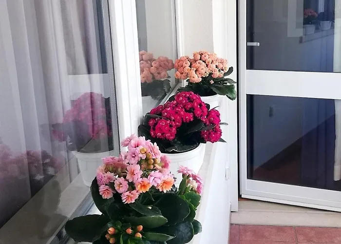 Appartement Downtown - Centre *